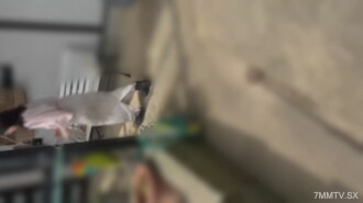 item.video_no