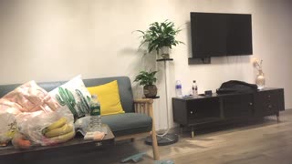 item.video_no
